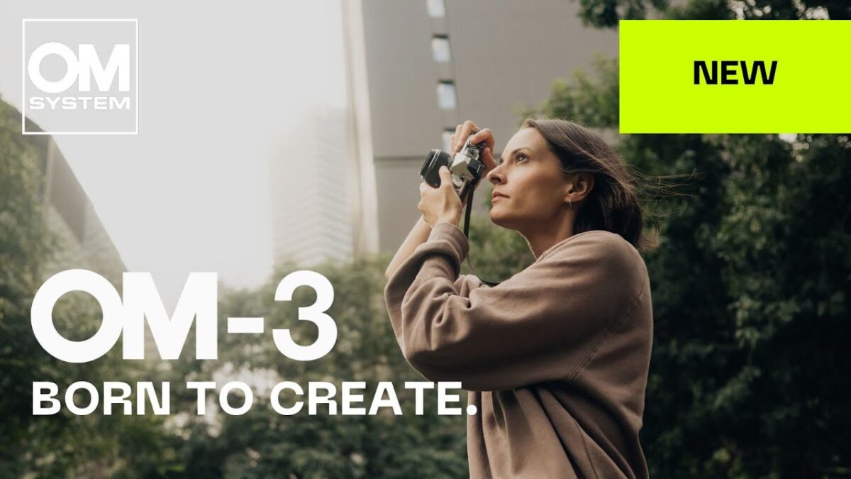 Born to Create 