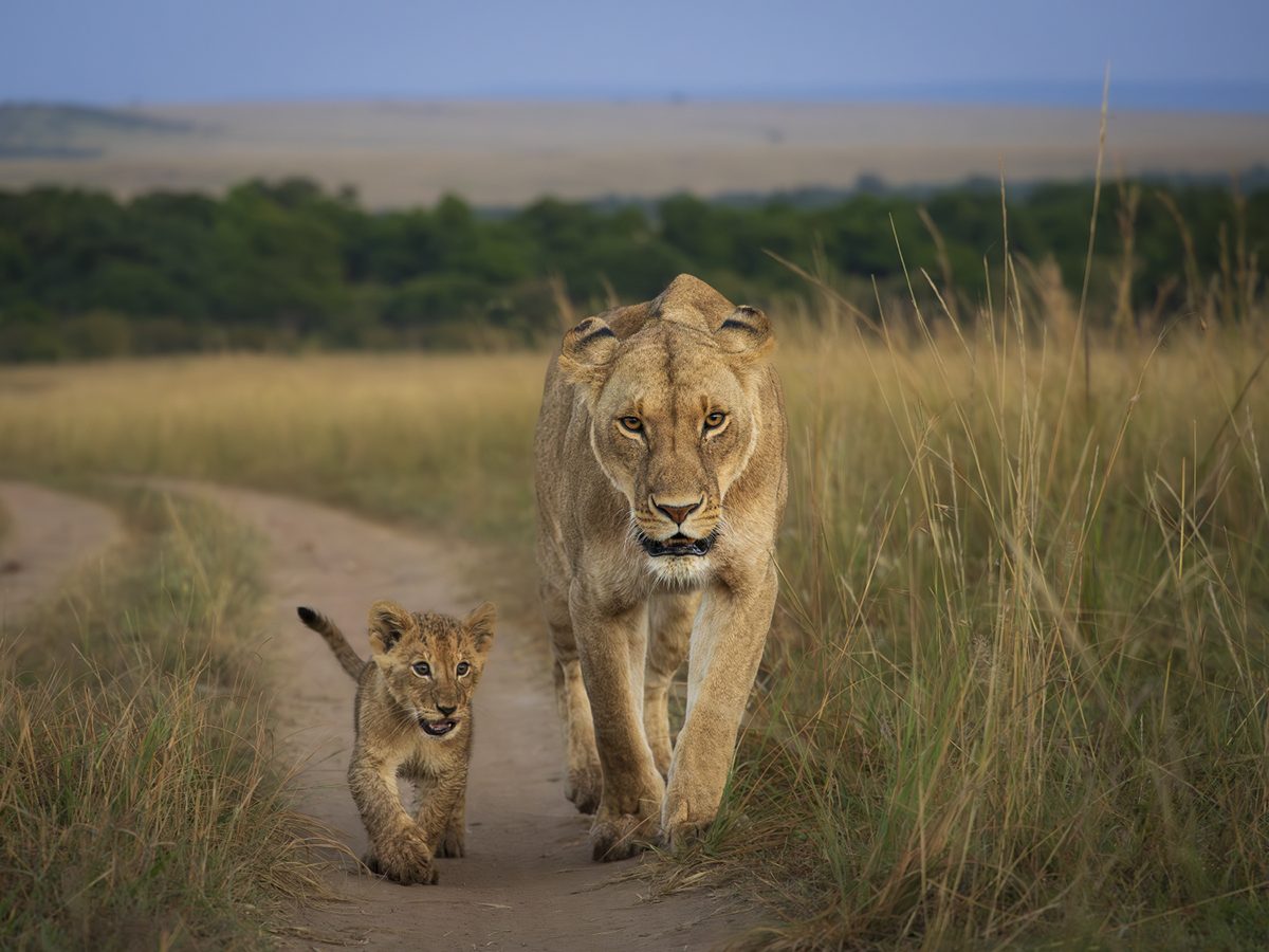 OM_SYSTEM_50-200mm_F2.8_IS_PRO_5020_Henrik_Karlsson_HK14321